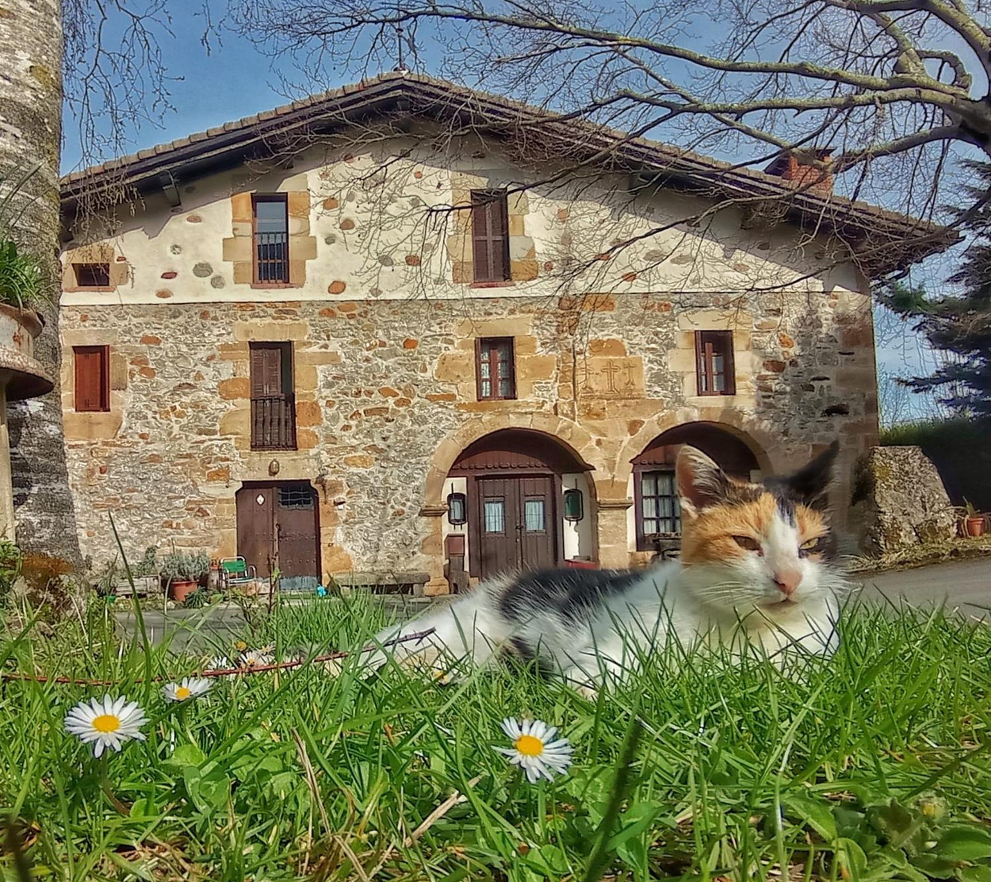 Casa Rural Areano Escoriaza Exteriör bild