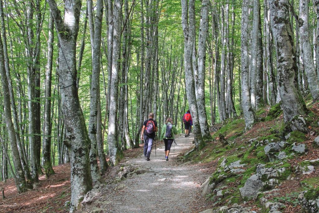 Casa Rural Areano Pensionat Escoriaza Exteriör bild